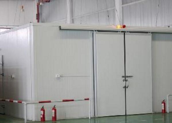 武漢圣典健康食品冷庫